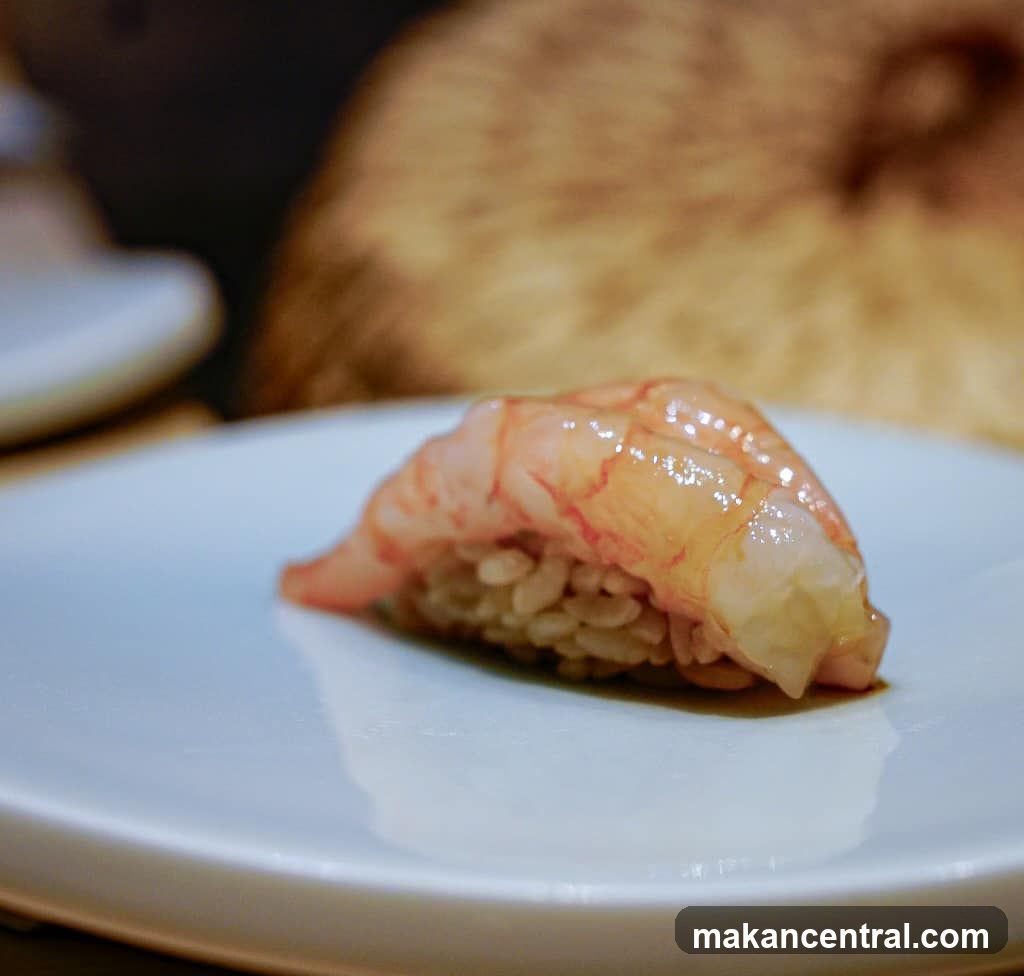 Shrimp Sushi