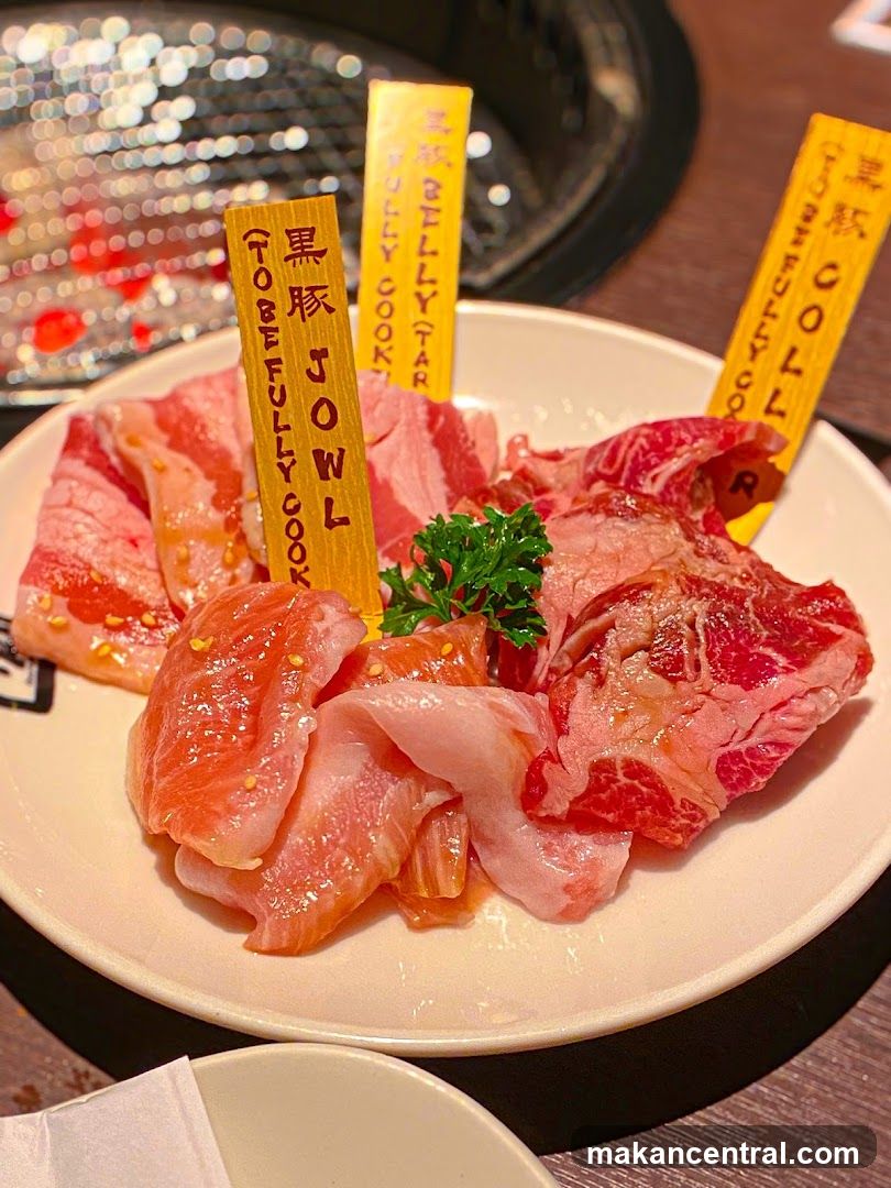 Assorted Raw Meats