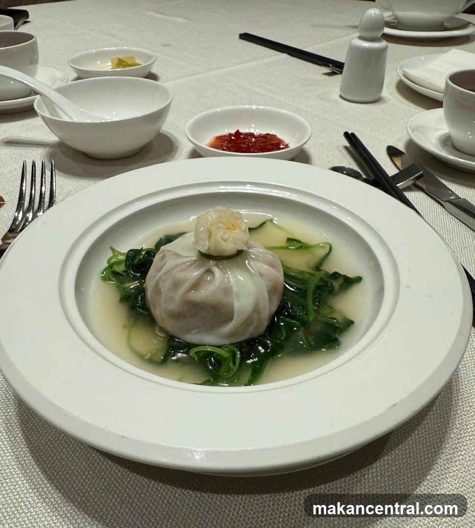 Dumpling in Broth
