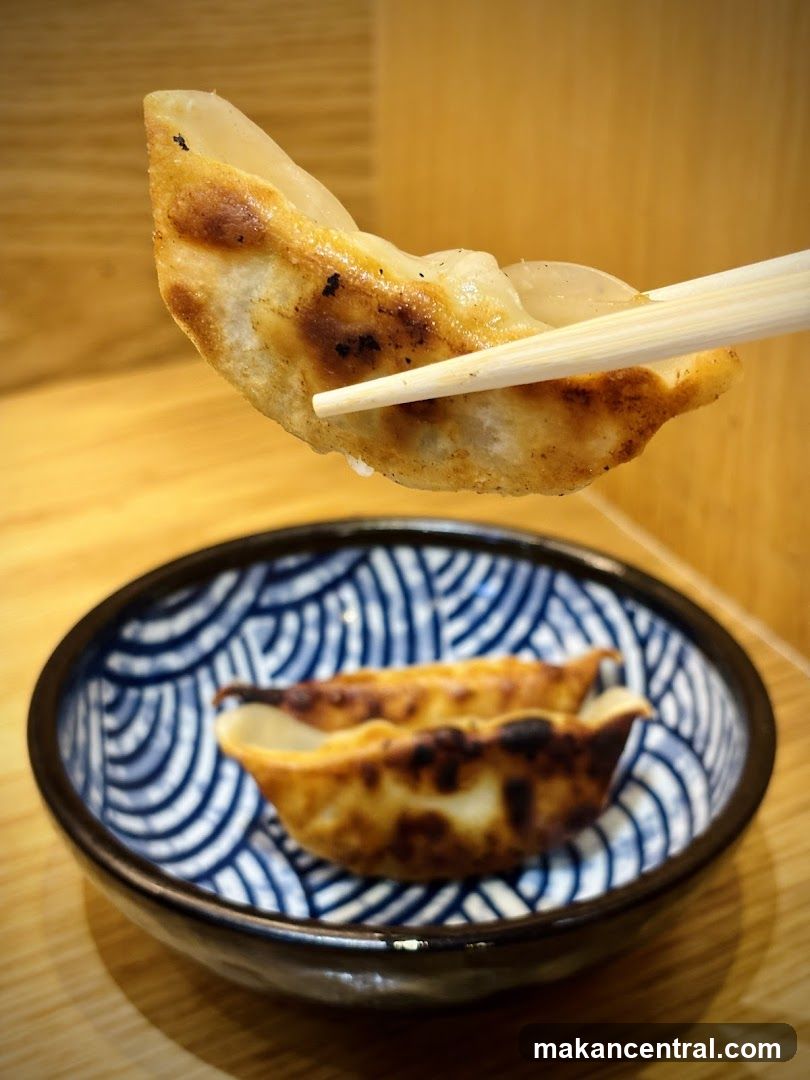 Gyoza being picked up with chopsticks