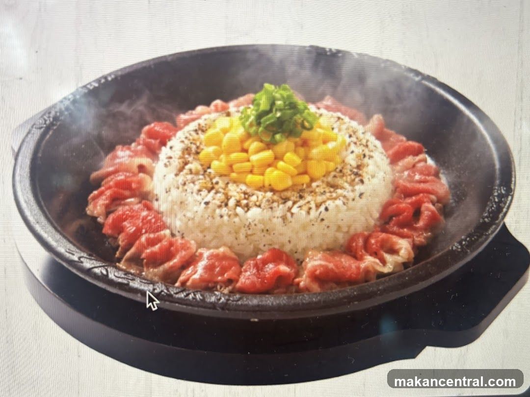 Sizzling Beef and Rice
