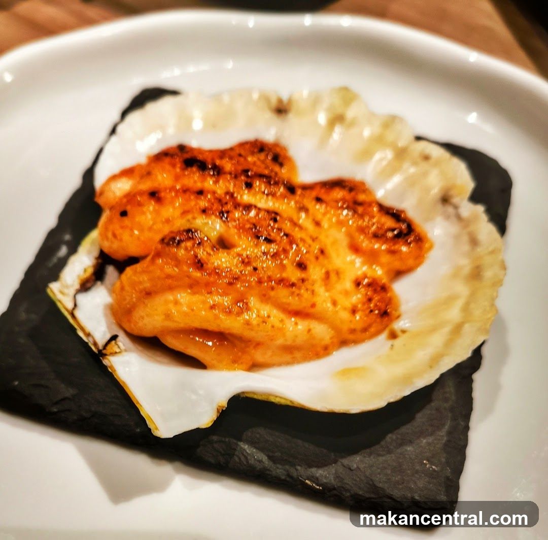 Scallops in Shell