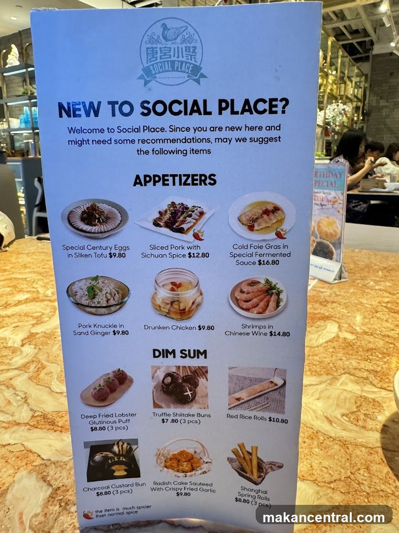 Social Place Recommendations