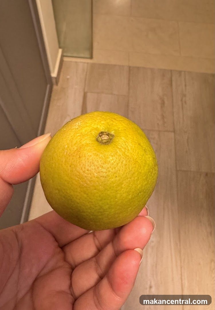 Hand holding a lime