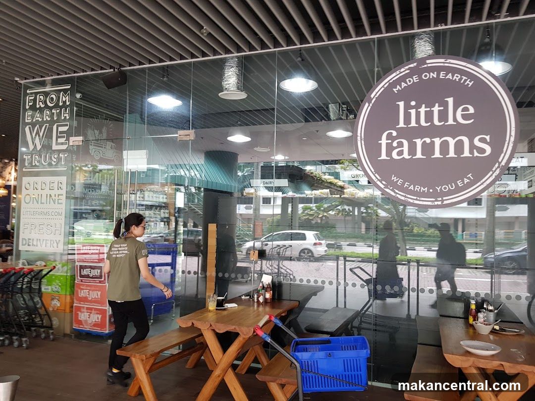 A view of the storefront of Little Farms, a grocery store. The entrance features large glass windows with text and logos. On the left, text reads "FROM EARTH WE TRUST ORDER ONLINE LITTLEFARMS.COM FRESH DELIVERY". A circular logo on the right states "MADE ON EARTH little farms WE FARM. YOU EAT". Inside, a woman in a green shirt is visible, along with shopping carts, wooden tables and benches, and shelves stocked with products.