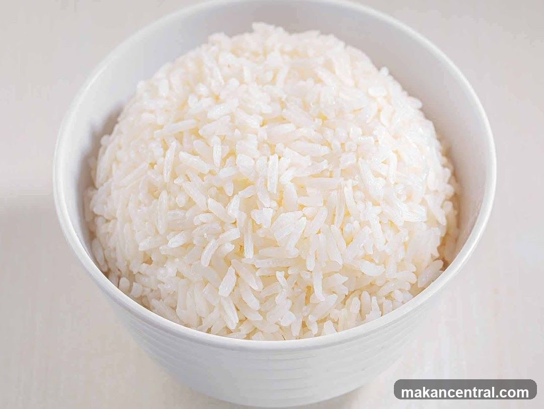 Bowl of Rice