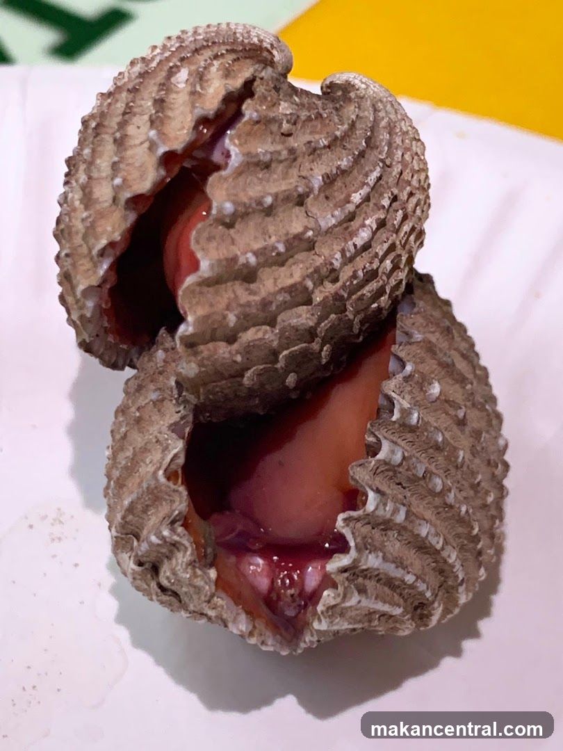 Cooked Cockles