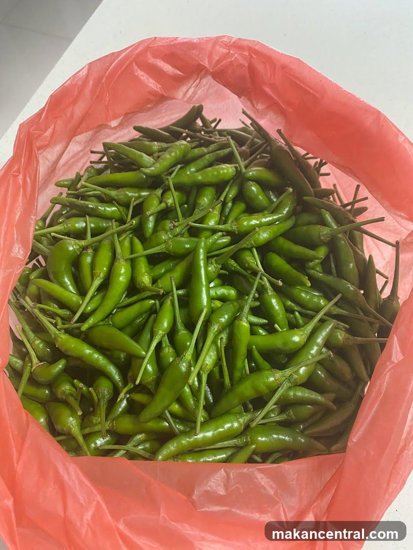 Green Chilies in a Bag