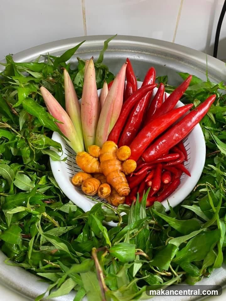 Fresh Ingredients