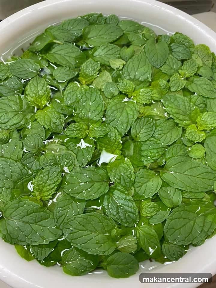 Mint Leaves in Water