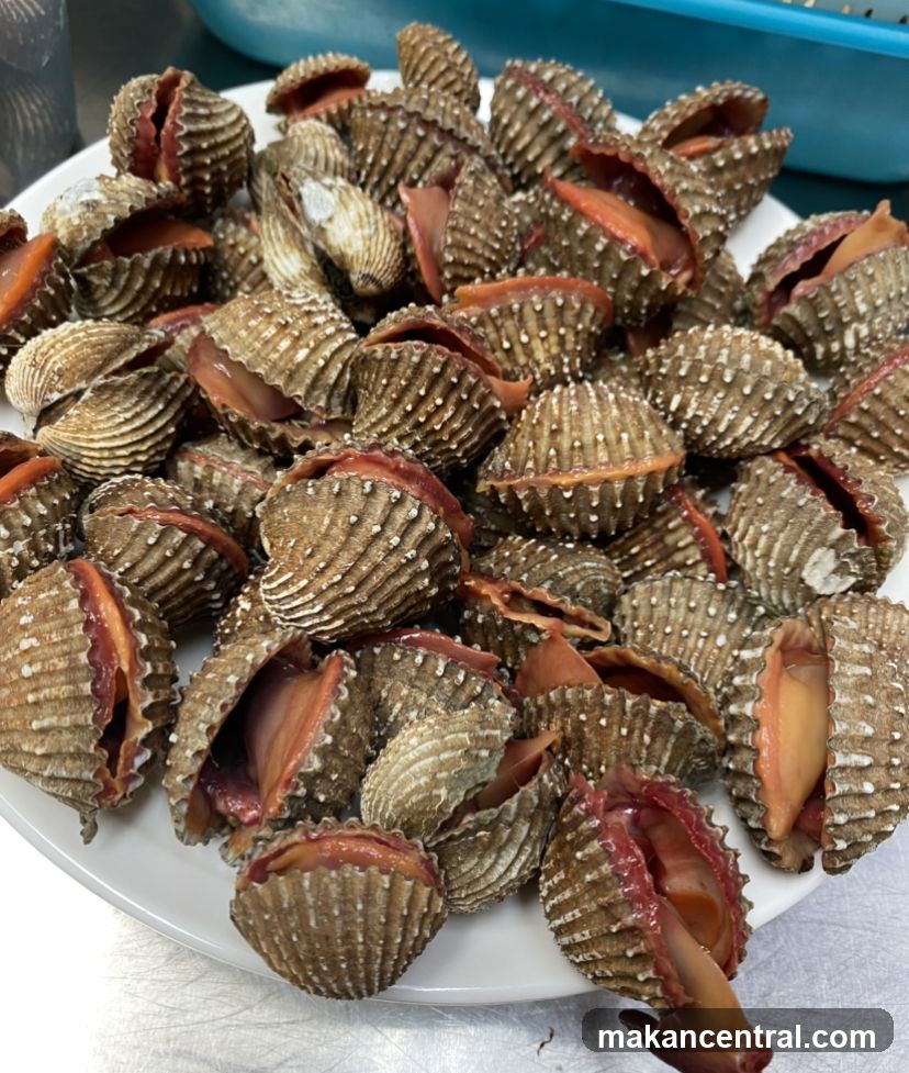 Plate of Cockles
