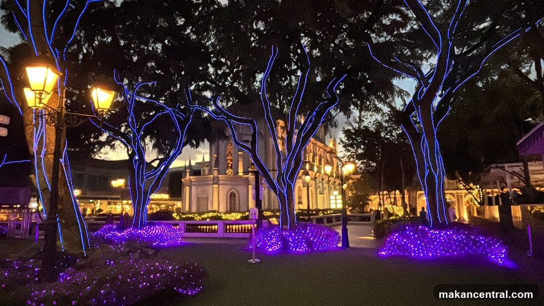 Festive Evening Lights