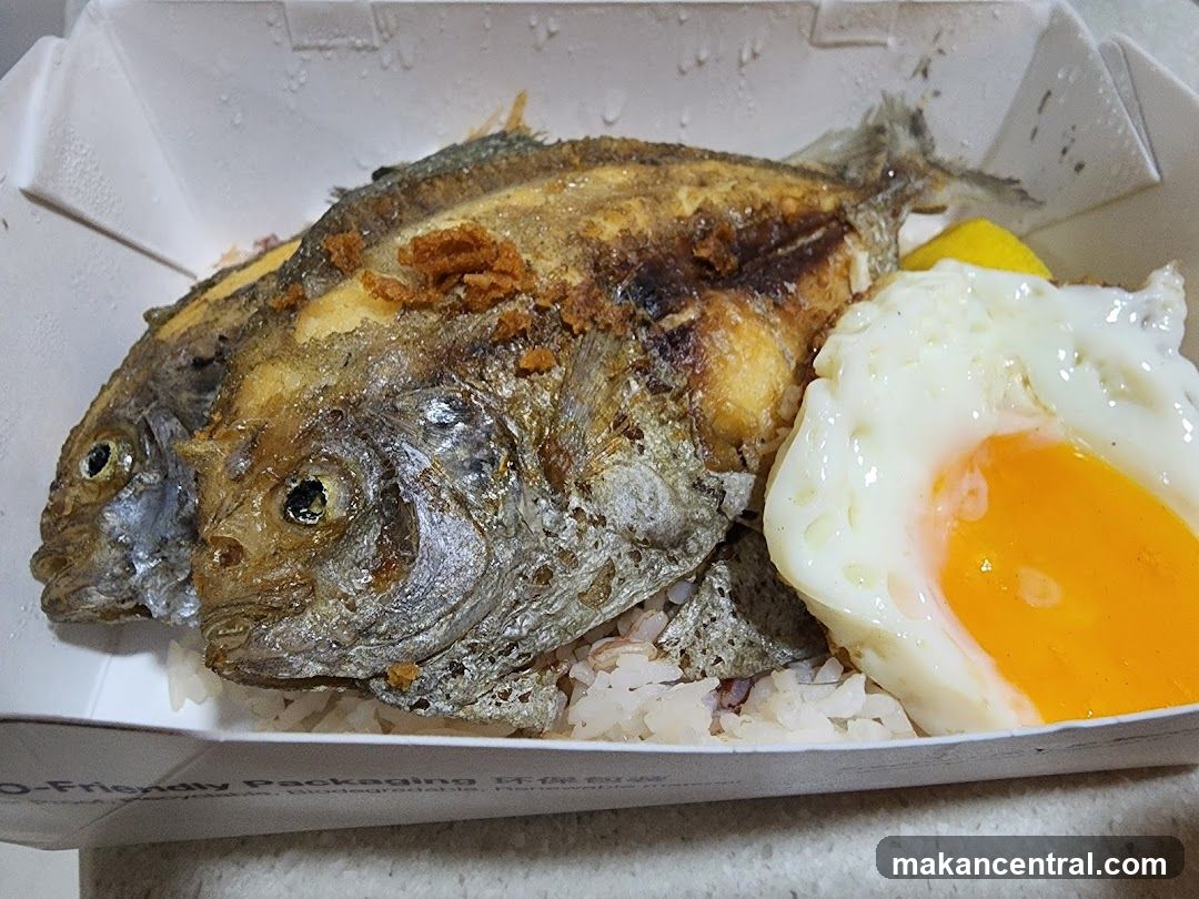 Fried Fish and Rice