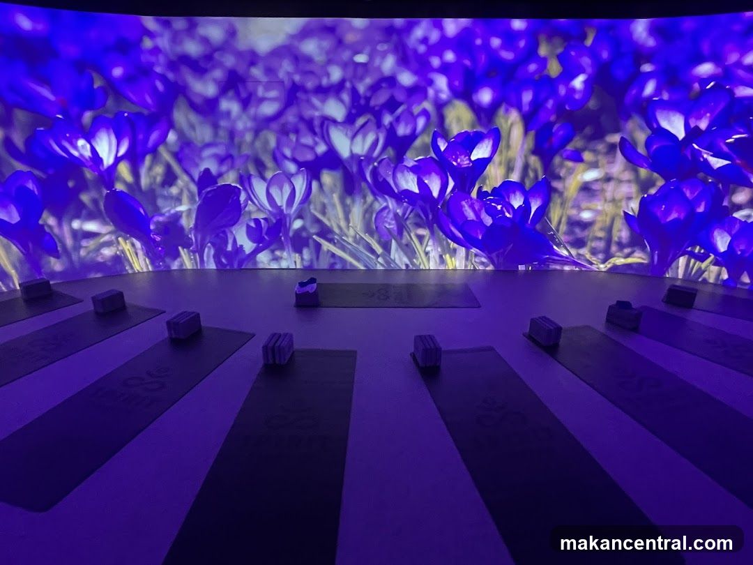Yoga Mats and Crocus Projection