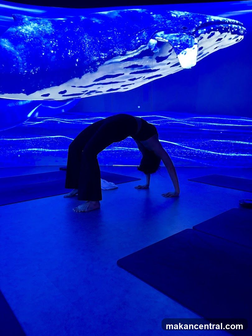 Yoga class with whale projection