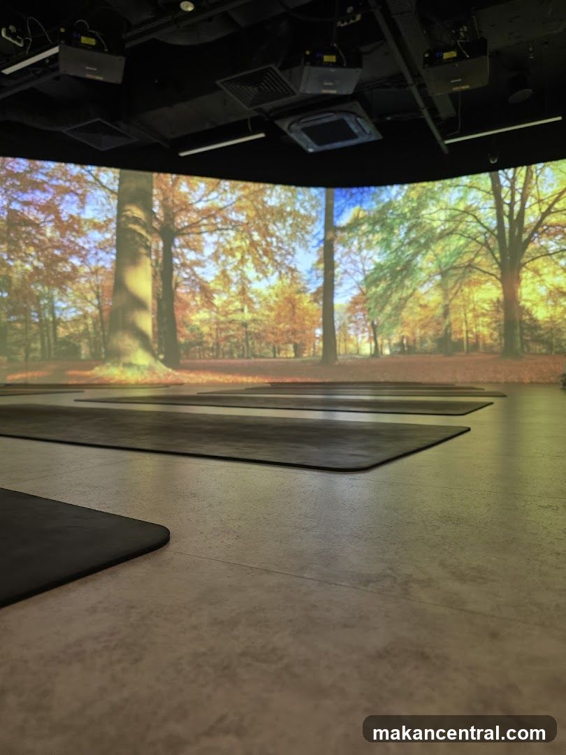 Yoga Mats in Immersive Room