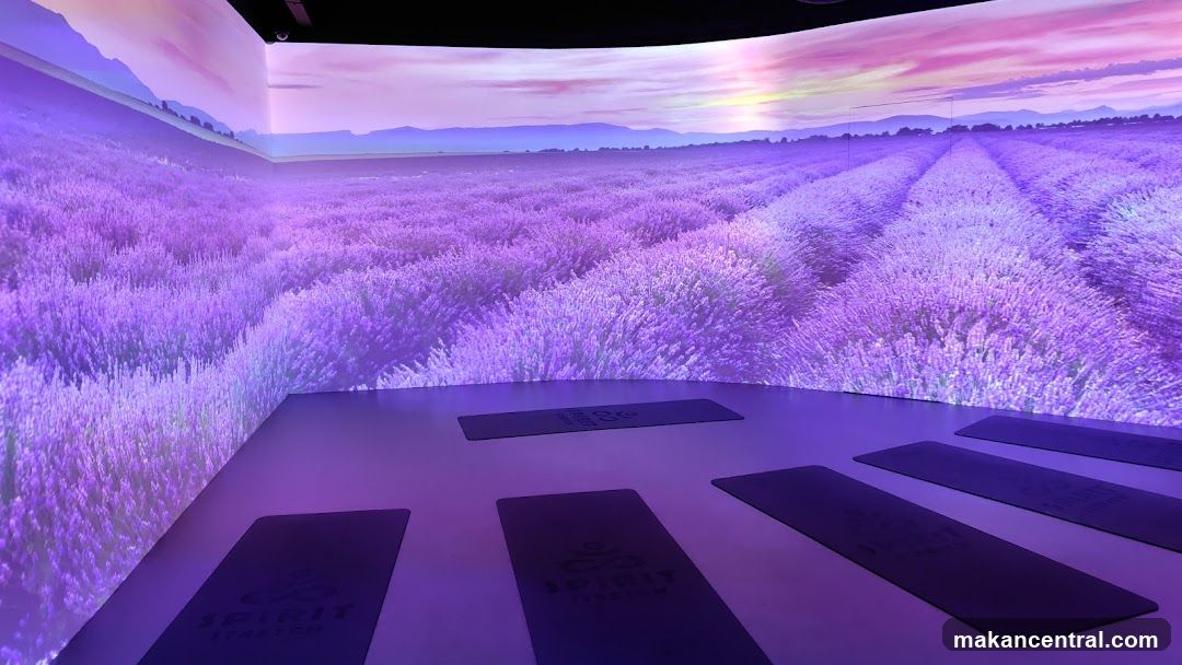 Yoga Mats in Lavender Field Projection Room