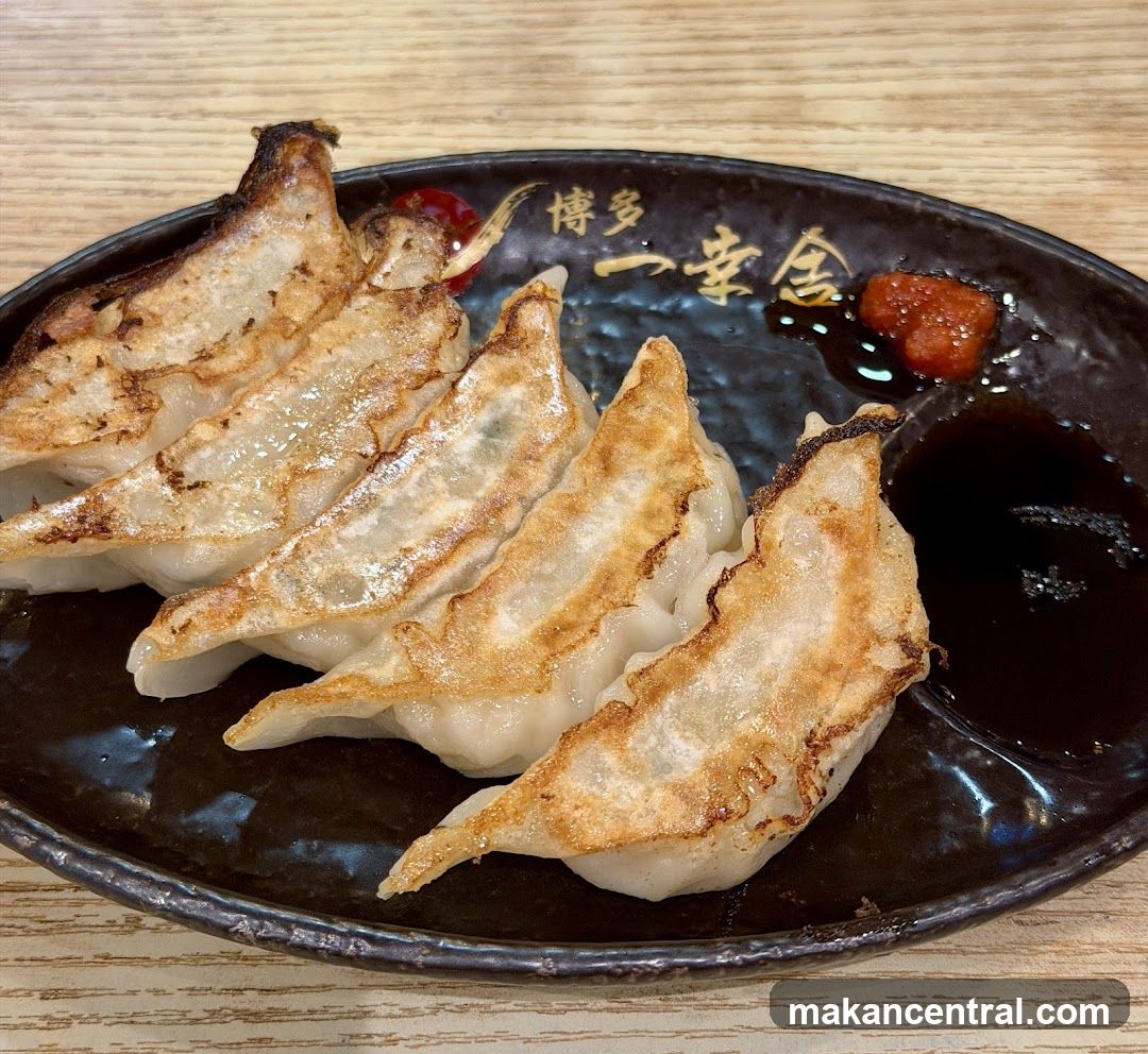 Gyoza on Plate
