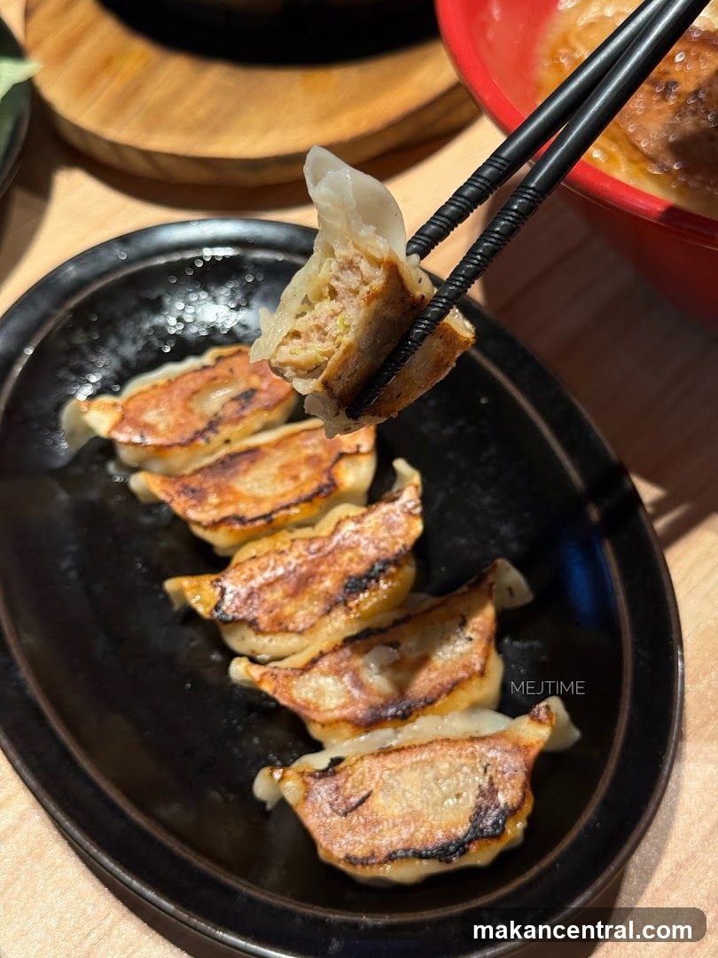 Gyoza Dish