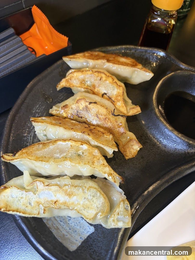 Gyoza on a Plate
