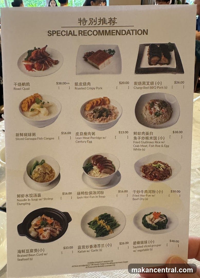 Special Recommendation Menu