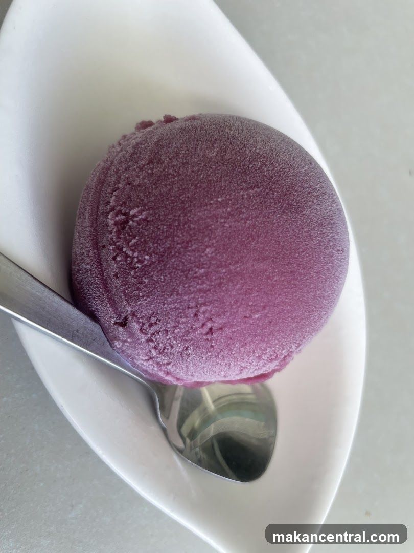 Ice cream scoop in bowl