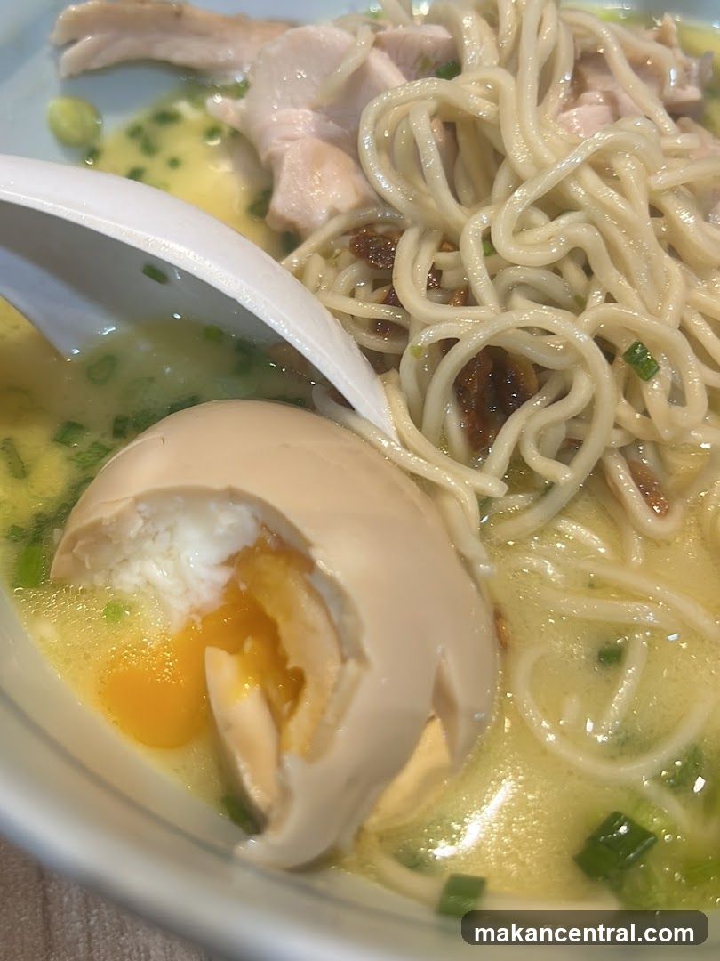 Noodle Soup with Egg and Chicken
