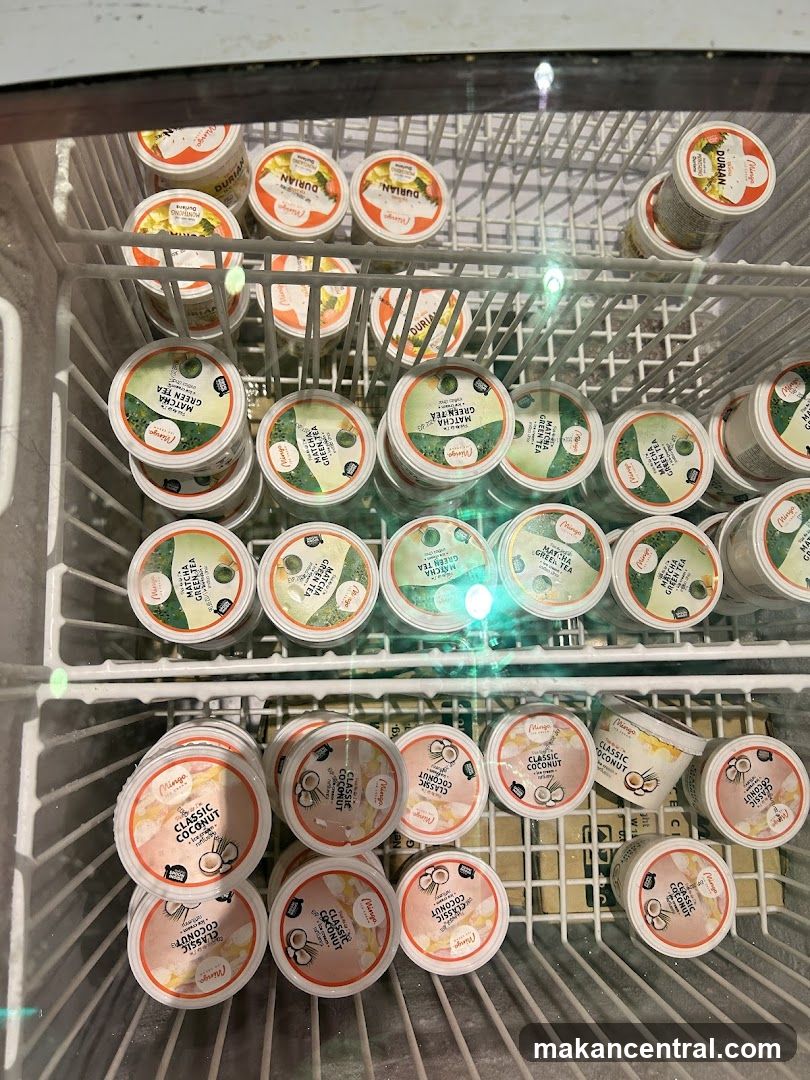 Frozen dairy products display