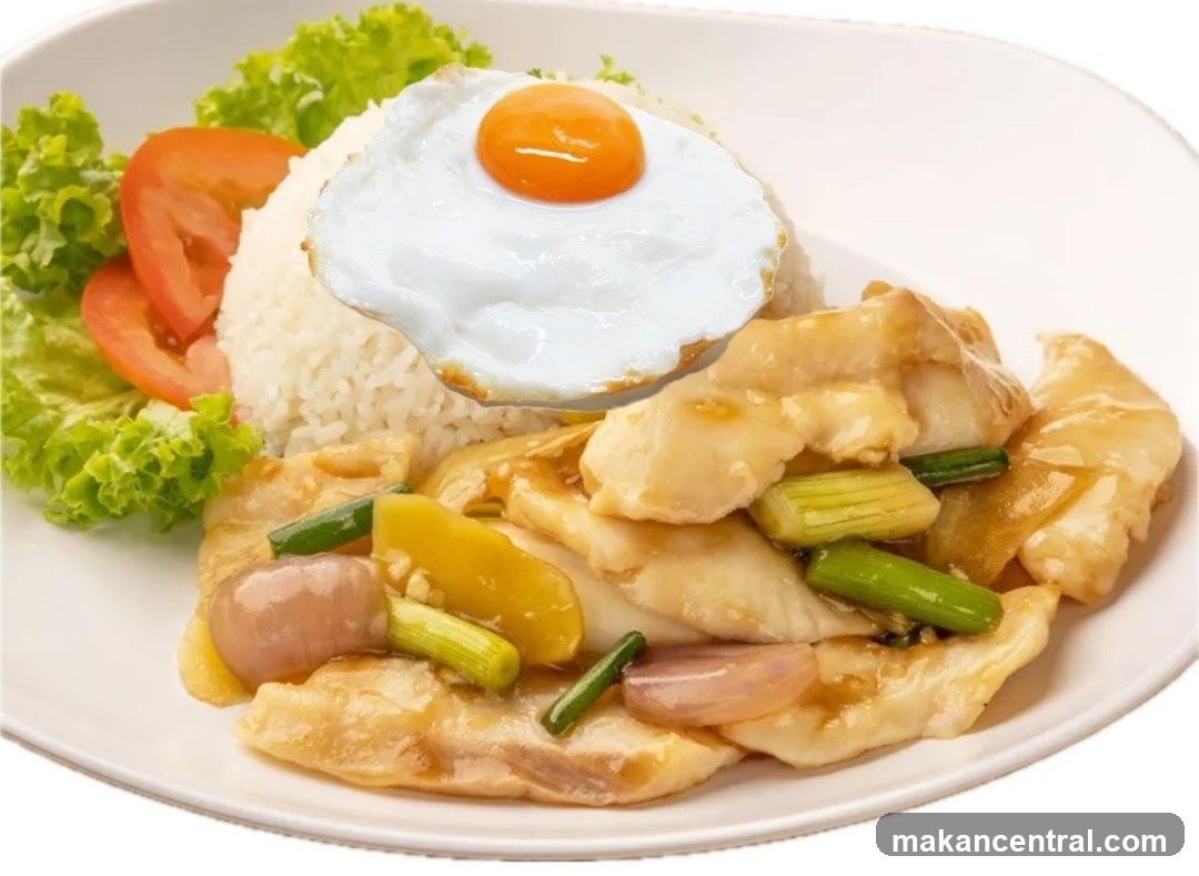 Food Dish