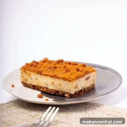 Cheesecake Slice