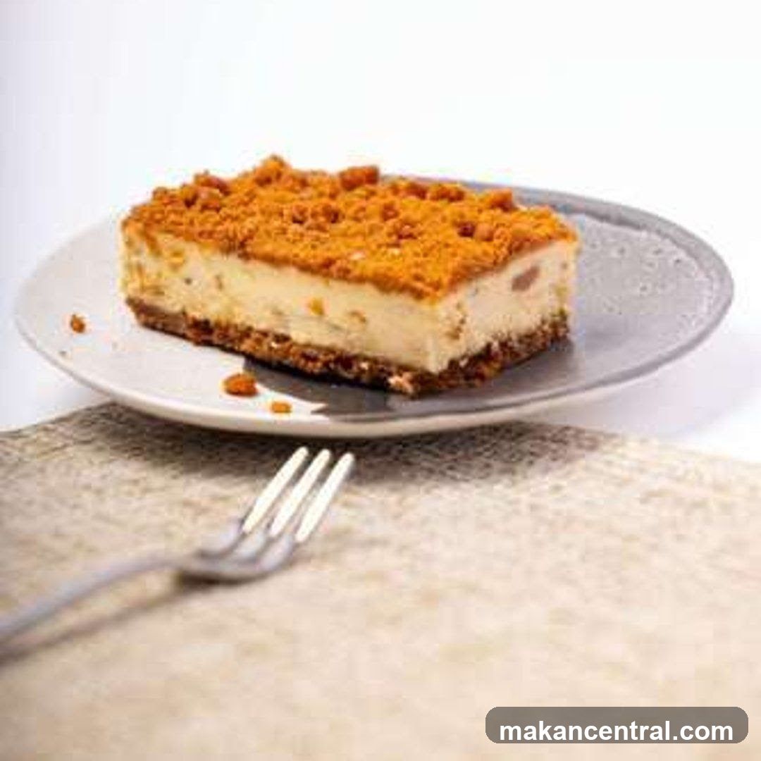 Cheesecake Slice on Plate