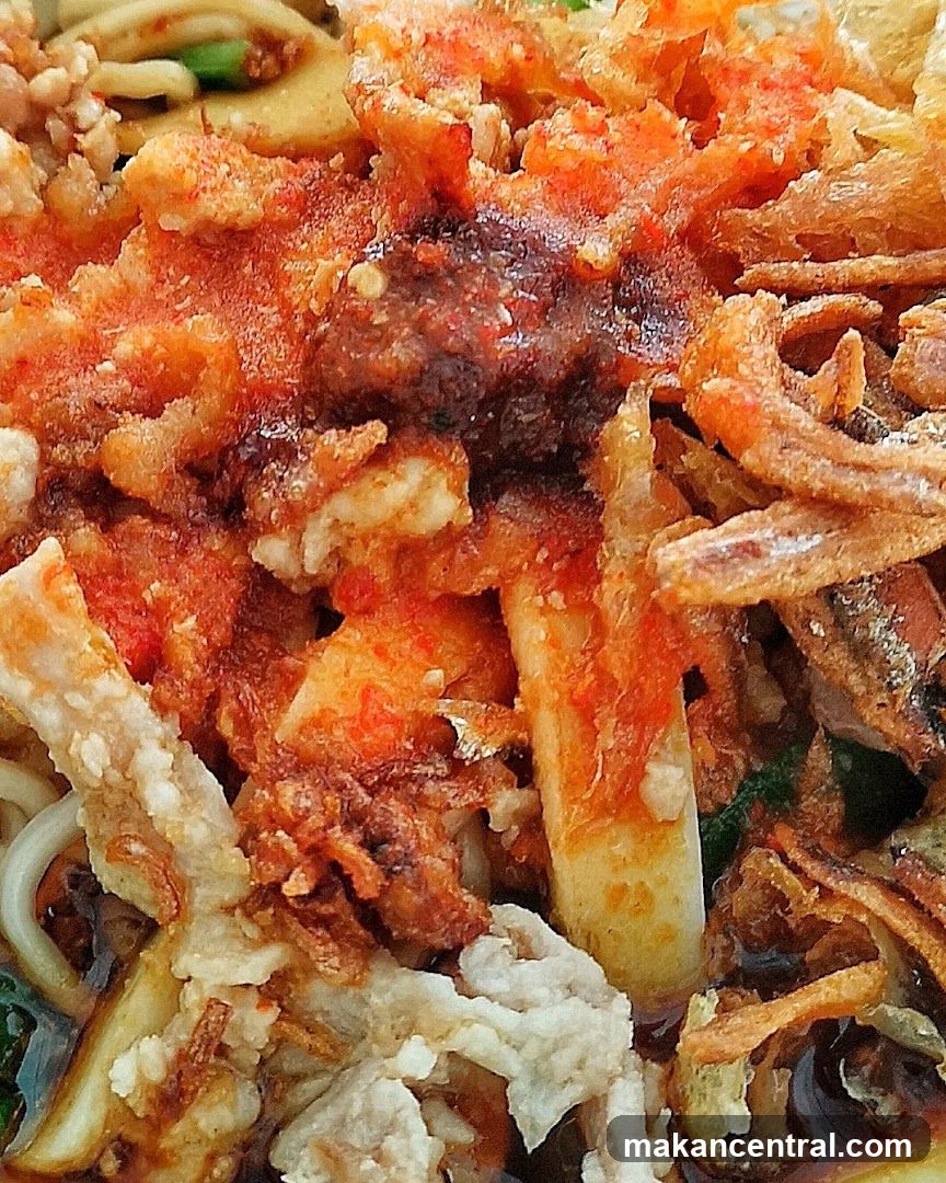 Satay, Rojak & Hand made Noodles