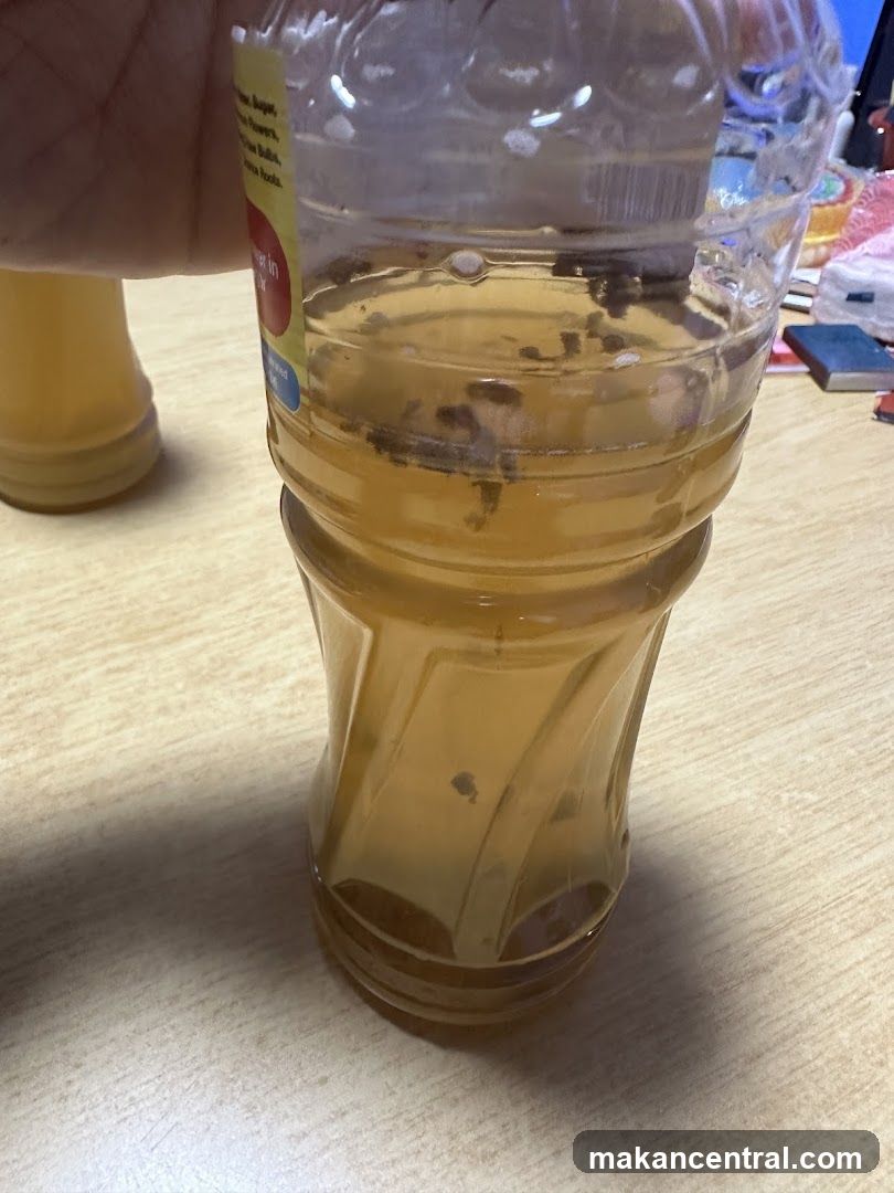Hockhua Tonic