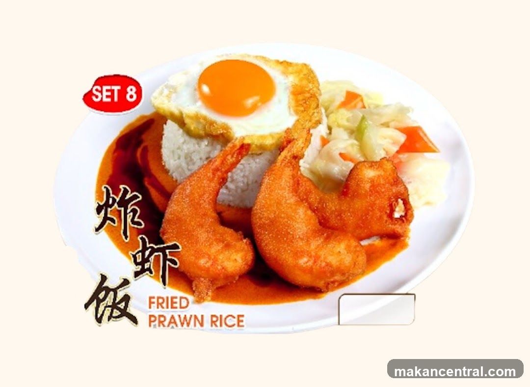 饭香园 Fan Xiang Yuan Curry Rice (The Arcade)