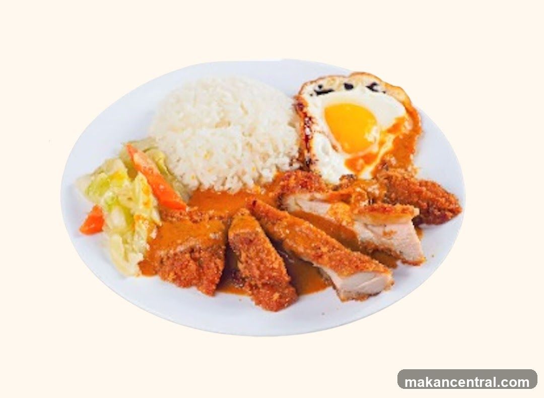 饭香园 Fan Xiang Yuan Curry Rice (The Arcade)