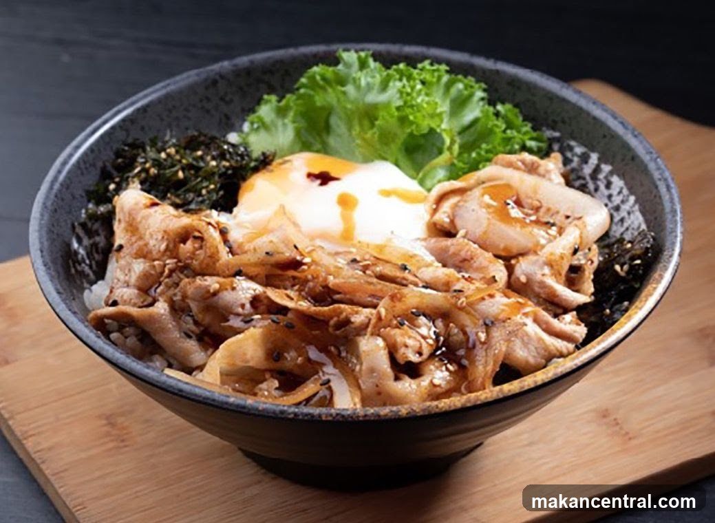 Rice Bowl Dish