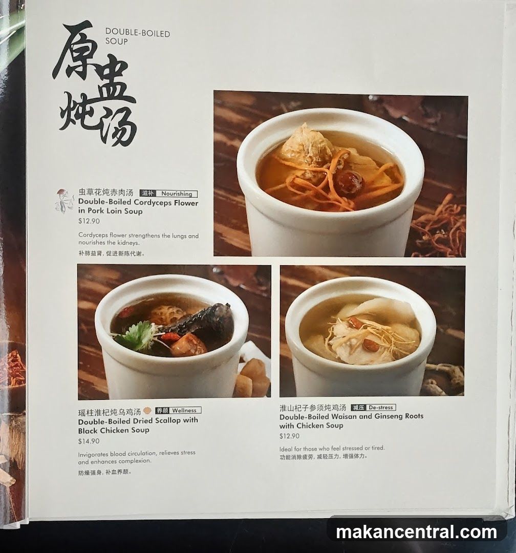 DOUBLE-BOILED SOUP