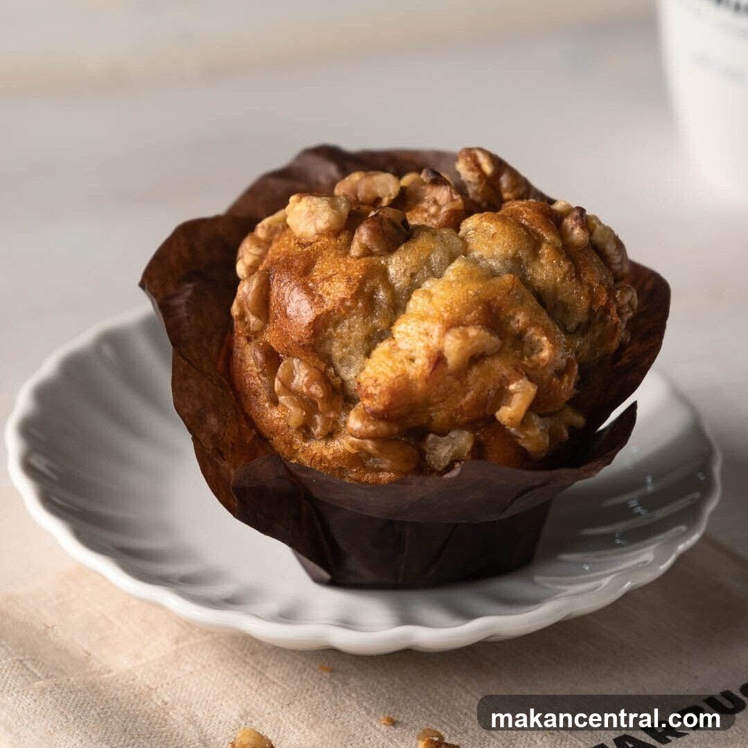 Walnut Muffin