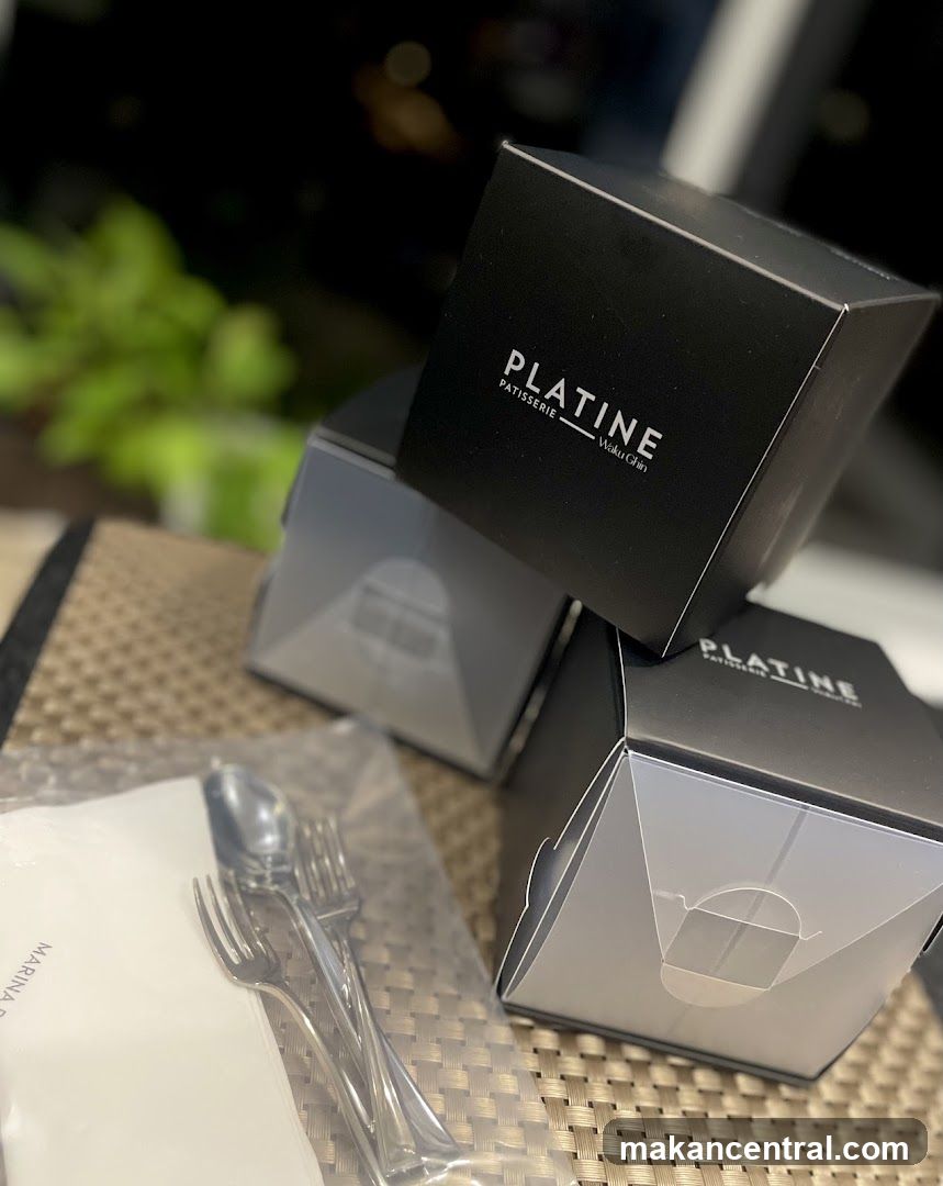 Takeaway Boxes and Cutlery