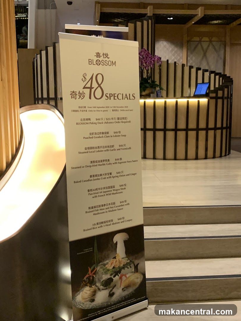 Blossom $48 Specials Banner