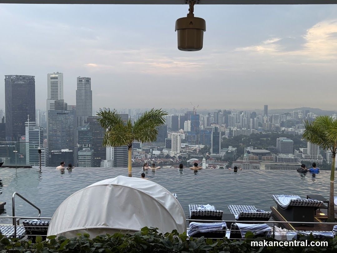 Infinity Pool Overlooking City Skyline