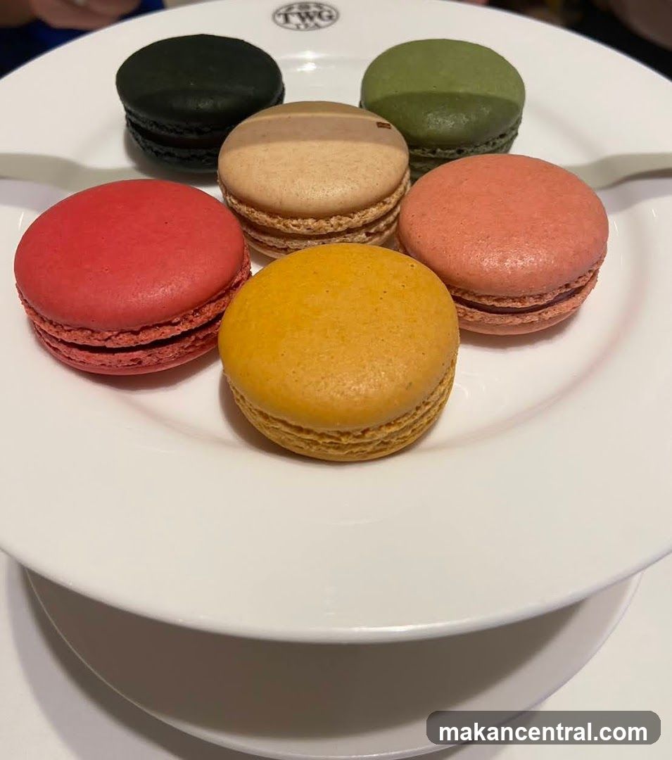 Assorted Macarons