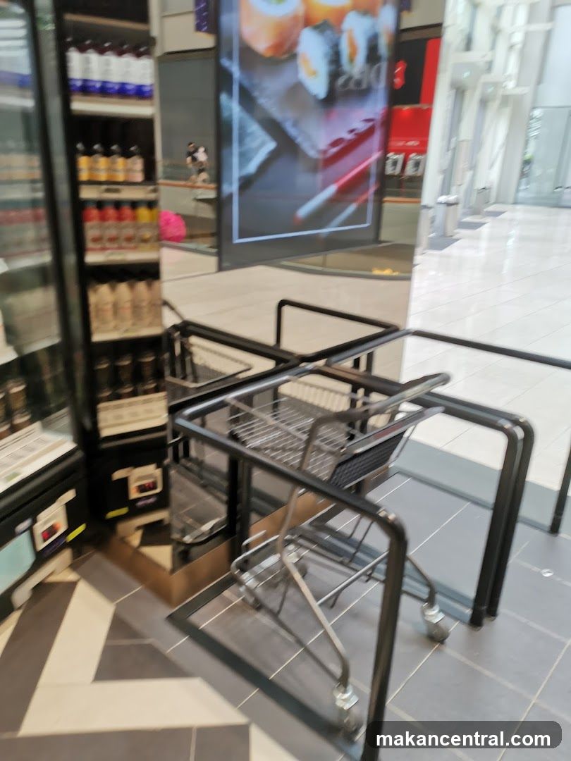 Shopping Carts and Display