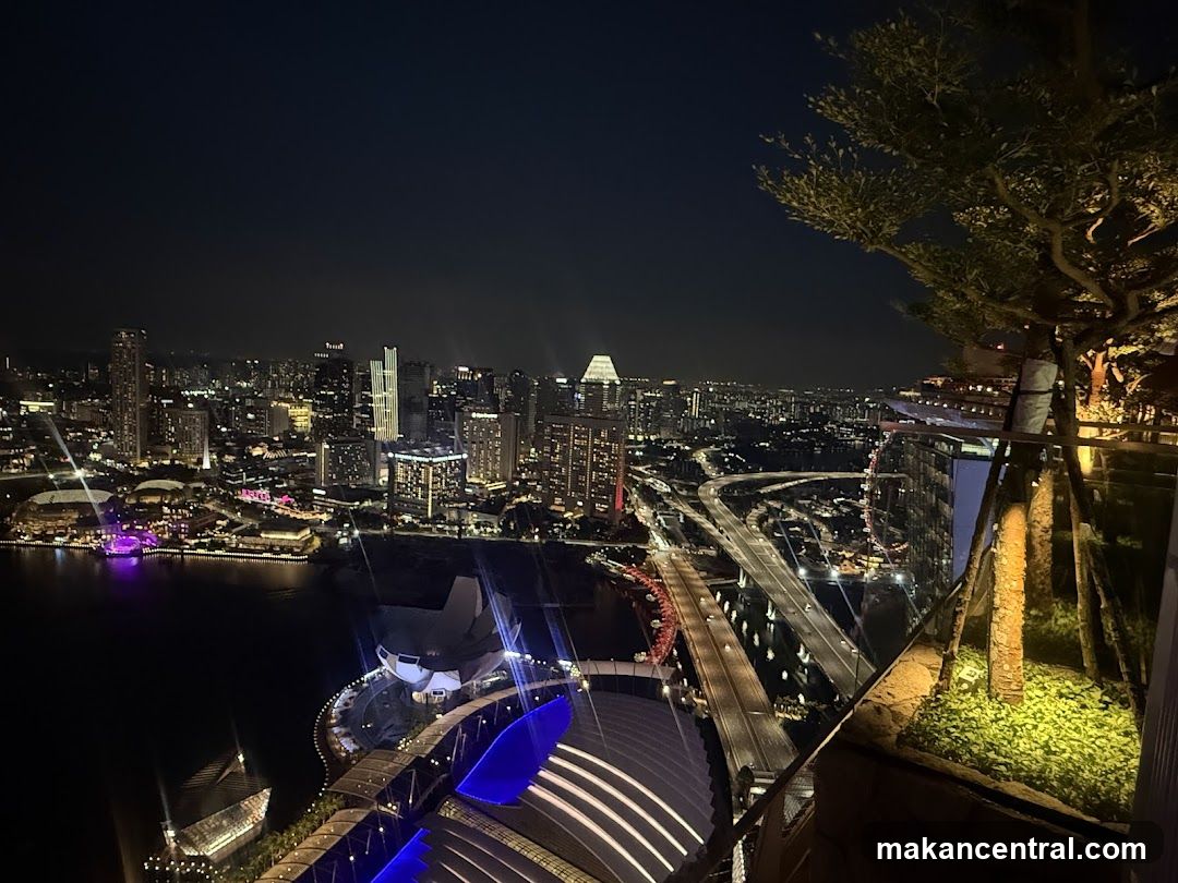 Nighttime Cityscape View