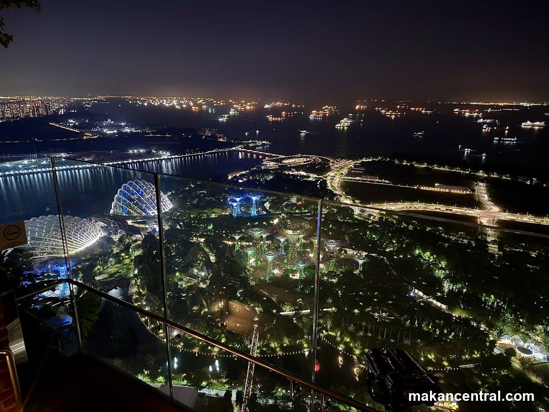 Night View of Gardens by the Bay and Singapore Skyline