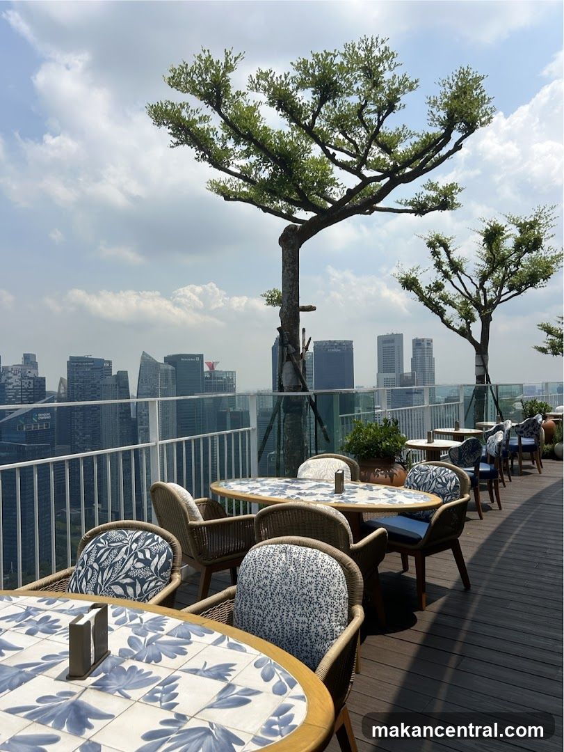 Rooftop Dining with City View