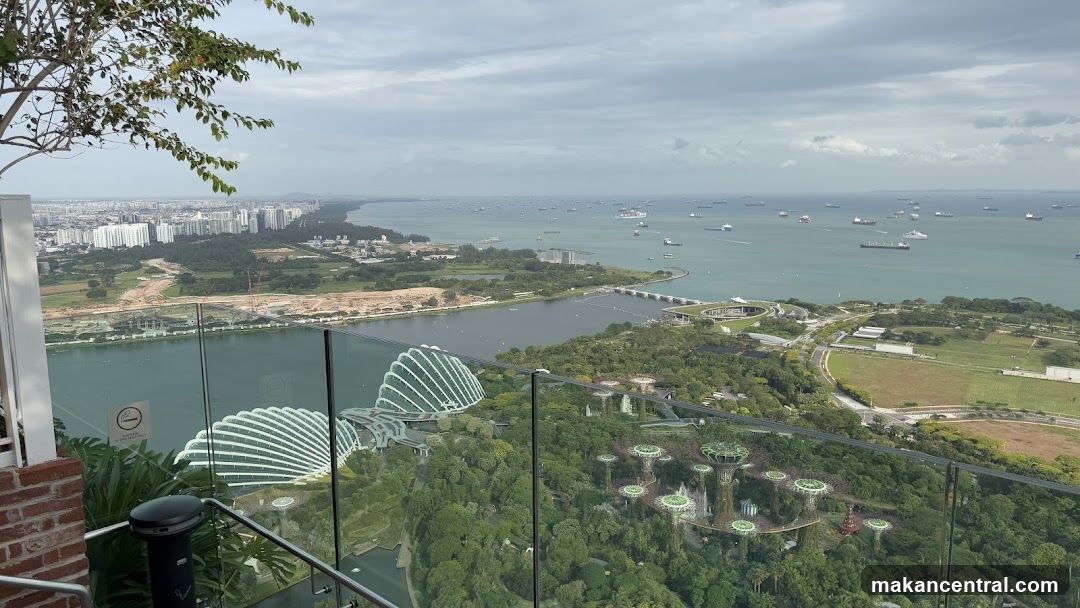 Panoramic View of Singapore Skyline and Gardens by the Bay