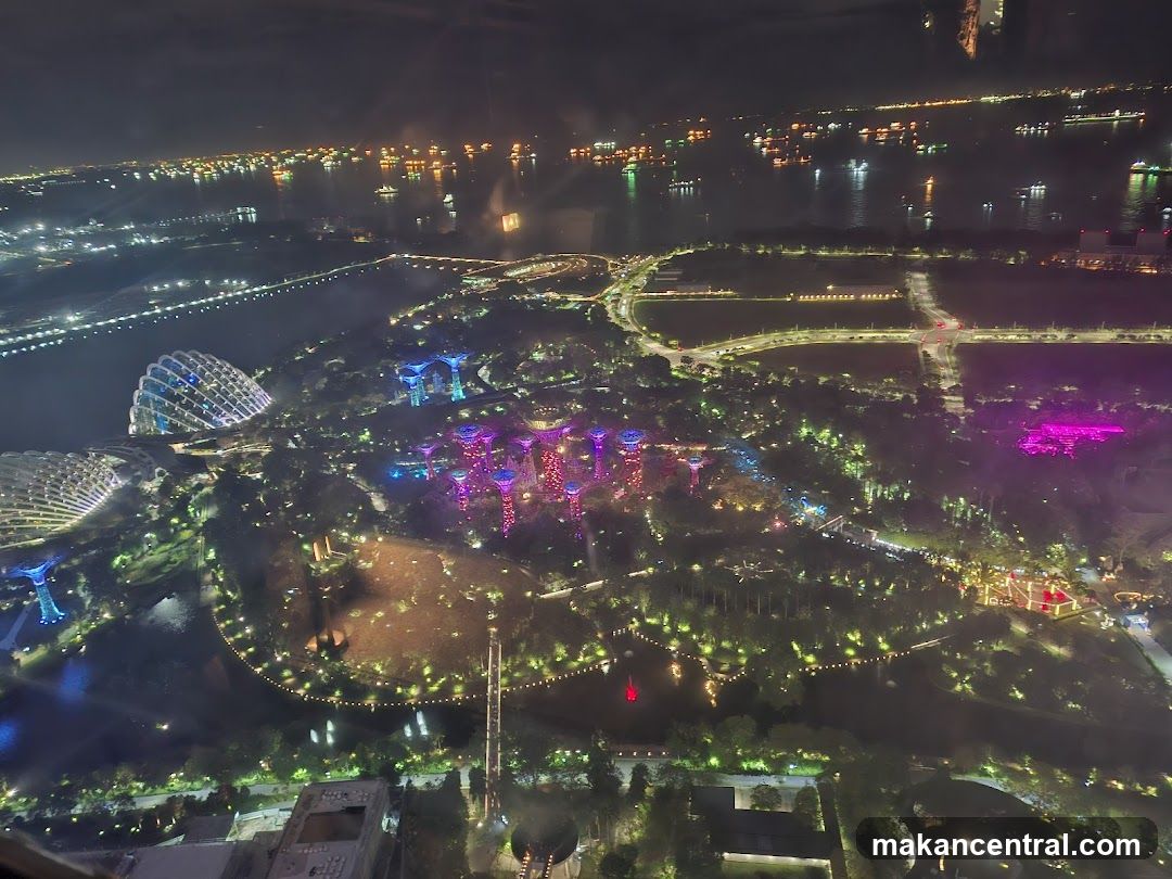 Gardens by the Bay at Night