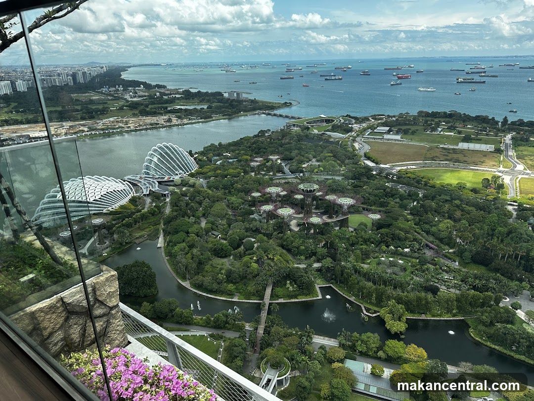 Aerial View of Gardens by the Bay, Singapore