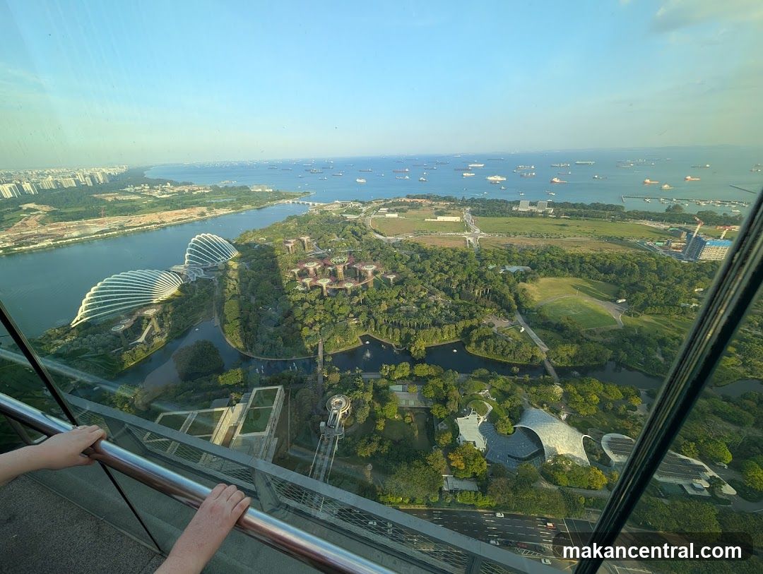 Aerial View of Gardens by the Bay